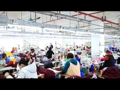 Vídeo de la introducción de la compañía